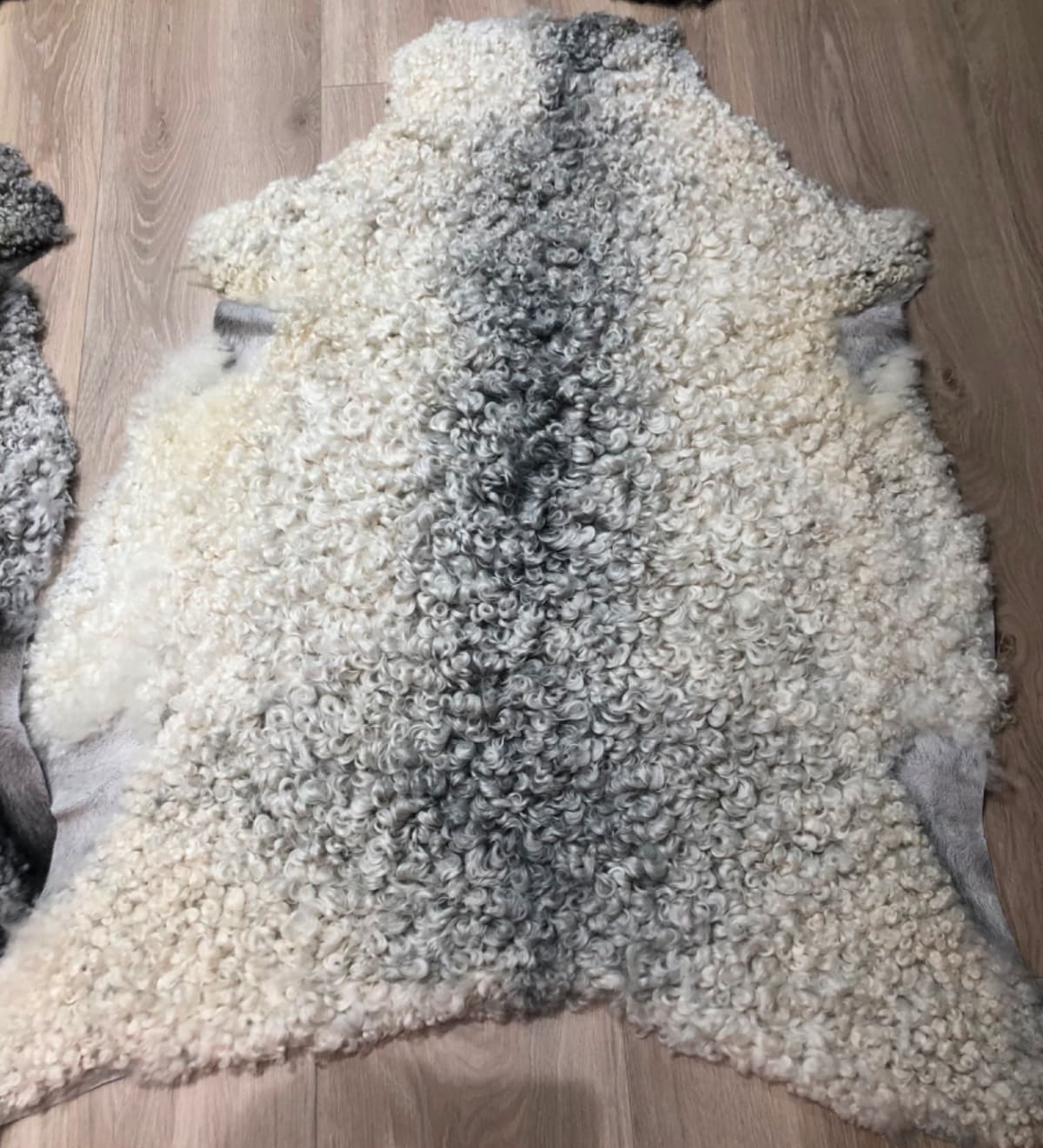 Vaskbart lammeskinn av Norsk Pelssau, lyst med mørk stripe langs ryggen.
