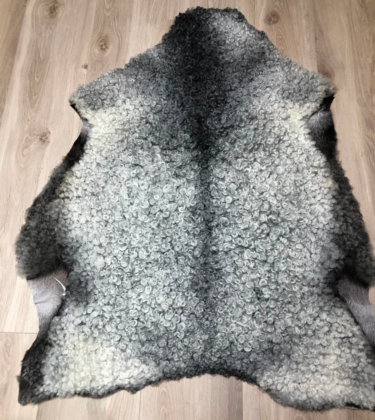 Søyeskinn av Norsk Pelssau, grått med lysere kanter.